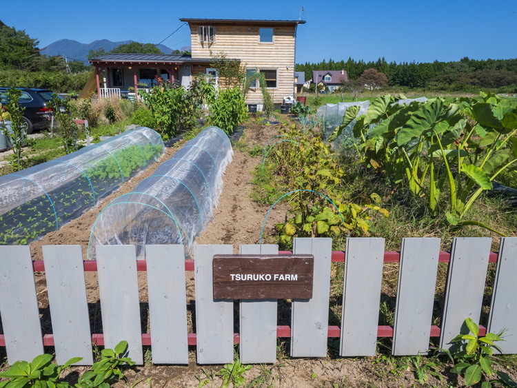 濃厚「生」和風オニオンドレッシング「つるドレ」2本＆ハラペーニョソース「つるスコ」1本セット 〔P-426〕 ｜ ドレッシング 和風ドレッシング タバスコ 調味料 無添加 栃木県 那須町