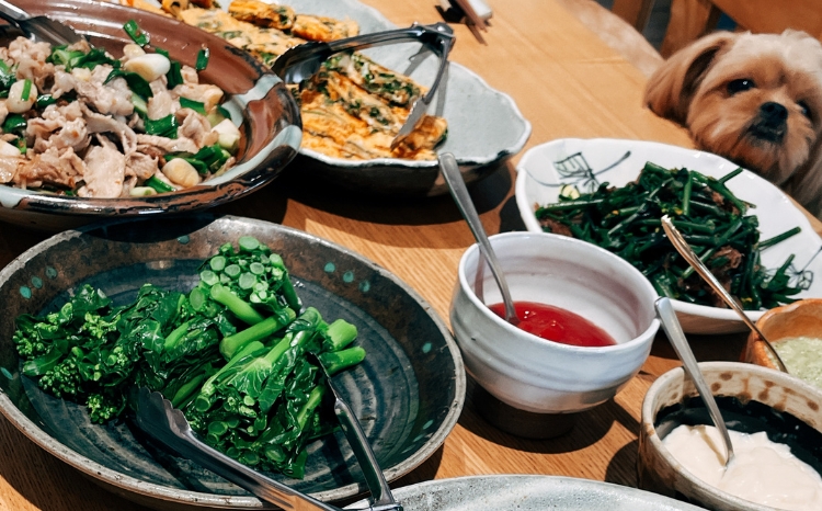 ＼食と元気を結ぶお手伝い／農村レストラン 飛火鞍 収穫体験＆地元シェフによるランチのお食事のペアチケット 〔P-435〕 | 野菜 やさい 収穫体験 ランチ 発酵食 体験 お食事券 農業体験 那須町 栃木県