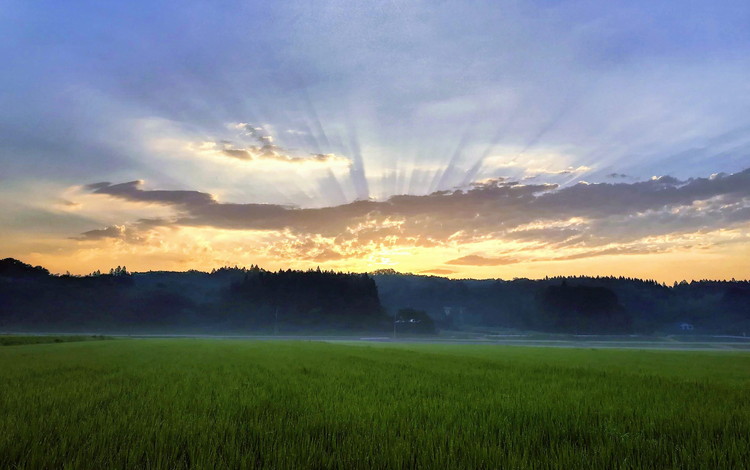 【令和7年産】もっちり那須米 コシヒカリ 30kg〔P-287〕 | こしひかり 米 お米 コメ こめ 精米 もっちり感 甘み ツヤ 国産 那須 栃木県 那須町 ※2025年10月下旬頃より順次発送予定