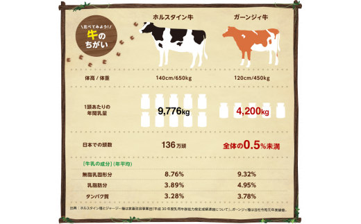 南ヶ丘牧場 アイスクリーム12個セット スイーツ アイス 高級アイス  詰め合わせ 乳牛 冷凍 那須町〔P-132〕