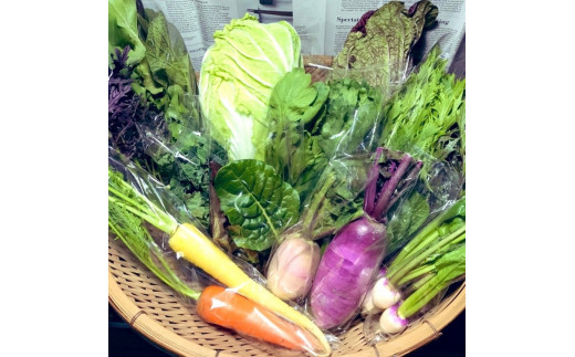 【全6回定期便】那須ブランド 那須高原野菜セット ｜ 野菜 お野菜 新鮮 詰め合わせ やさい みずみずしい 美味しい 自然 栃木県 那須町〔P-150〕※北海道・沖縄・離島への配送不可 ※2026年5月上旬～12月下旬頃に順次発送予定