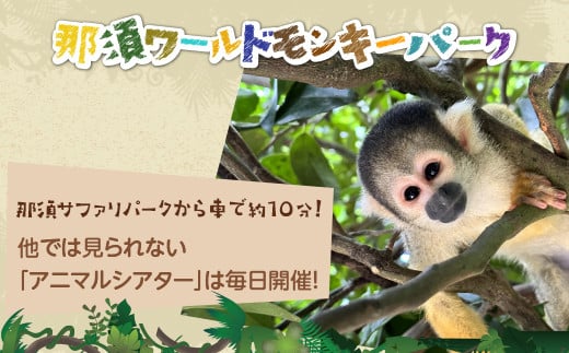 那須サファリパークペア入園券セット（入園＋ライオンバス＋エサやり）2名 モンキーパーク割引チケット付き！動物 動物園チケット どうぶつえん チケット 券 入場券 入園券 エサやり ライオンバス付き 観光 ファミリー 家族 栃木県 那須町〔P-158〕