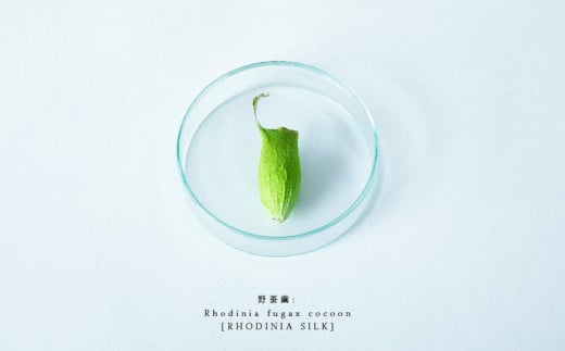 PALELINO ロディニアシルクスキンケア美容液30mL＋化粧水[トライアル30mL、約20日分]セット 化粧水 美容液 保湿 うるおい スキンケア 化粧品 コスメ ふるさと納税 栃木県 那須町〔P-118〕