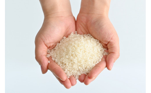 【令和7年産】水車の里　瑞穂蔵　那須町産コシヒカリ　20kg（10kg×2袋）〔P-275〕 ※沖縄・離島への配送不可