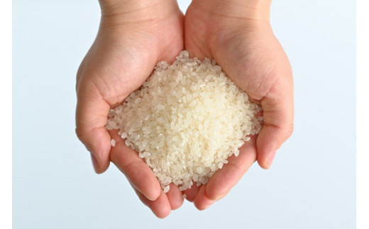 【令和6年産】那須町産こしひかり3kg お米 精米 国産 栃木県 那須町産 〔P-124〕