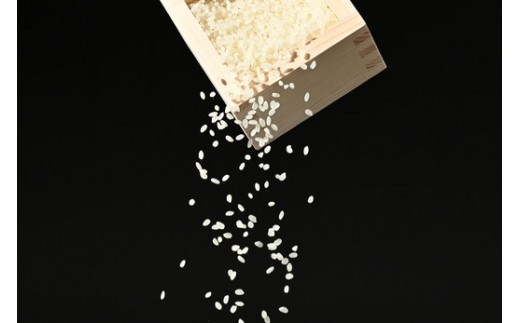 【令和6年産】那須町産こしひかり5kg お米 精米 国産 栃木県 那須町産 〔P-125〕