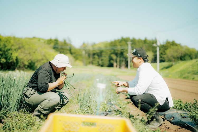 ＼食と元気を結ぶお手伝い／農村レストラン 飛火鞍 収穫体験＆地元シェフによるランチのお食事のペアチケット 〔P-435〕 | 野菜 やさい 収穫体験 ランチ 発酵食 体験 お食事券 農業体験 那須町 栃木県