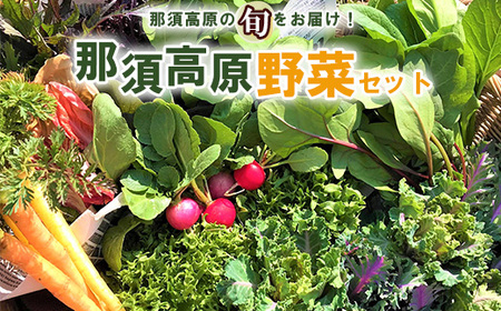 那須ブランド 那須高原野菜セット 野菜 お野菜 新鮮 詰め合わせ やさい みずみずしい 美味しい 自然 栃木県 那須町〔B-80〕※北海道・沖縄・離島への配送不可※2024年5月より順次発送予定