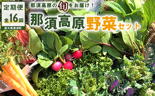 【全16回定期便】那須ブランド 那須高原野菜セット（5月後半1回、6月～12月各月2回、翌年1月1回）｜ 野菜 お野菜 新鮮 詰め合わせ やさい みずみずしい 美味しい〔P-66〕※北海道・沖縄・離島への配送不可 ※2026年5月中旬～2027年1月下旬頃に順次発送予定