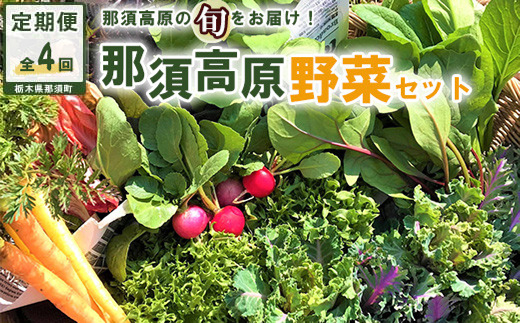 【全4回定期便】那須ブランド 那須高原野菜セット（隔月1回／6月～12月） ｜ 野菜 お野菜 新鮮 詰め合わせ やさい みずみずしい 美味しい 自然 栃木県 那須町〔P-67〕※北海道・沖縄・離島への配送不可 ※2026年6月上旬～12月下旬頃に順次発送予定