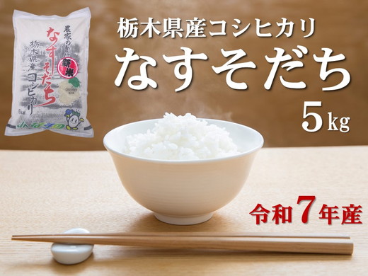 令和7年産 栃木県産 コシヒカリ なすそだち 5kg JAなすの産地直送【大田原市・那須塩原市・那須町共通返礼品】〔P-237〕 ｜ 米 コメ こめ 白米 精米 新米 ※離島への配送不可