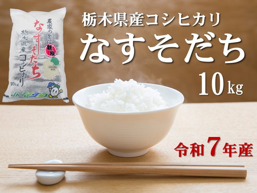 令和7年産 栃木県産 コシヒカリ なすそだち 10kg JAなすの産地直送【大田原市・那須塩原市・那須町共通返礼品】〔D-80〕 ｜ 米 コメ こめ 白米 精米 新米 ※離島への配送不可