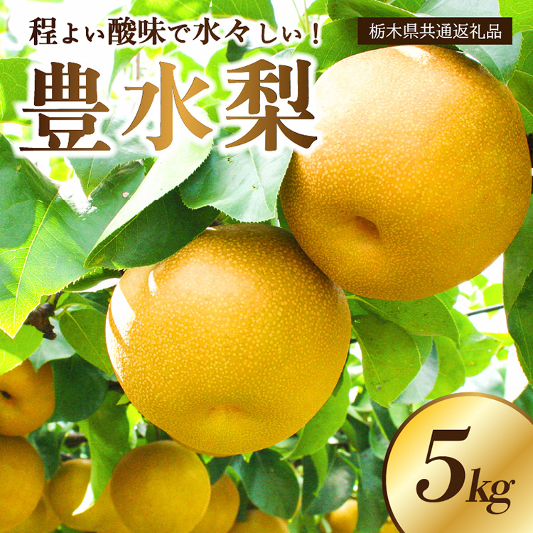 【栃木県共通返礼品】 JAなすの産 梨 豊水 5kg〔P-390〕※北海道・沖縄・離島への配送不可 ※2025年9月上旬～9月下旬頃に順次発送予定