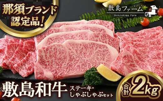 〔P-75〕那須高原 敷島和牛ステーキ・すきしゃぶセット（B）《敷島ファーム》※着日指定不可※北海道・沖縄・離島への配送不可