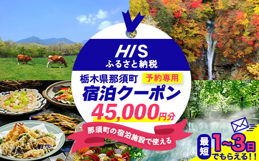 HISふるさと納税宿泊予約専用クーポン（栃木県那須町）45,000円分｜宿泊 宿泊券 旅行 旅行券 旅券 クーポン 旅 トラベル お出かけ 温泉 宿泊予約 HIS 那須 〔H-17〕