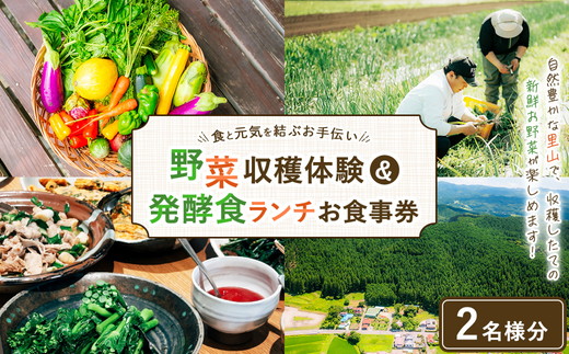 ＼食と元気を結ぶお手伝い／農村レストラン 飛火鞍 収穫体験＆発酵食ランチのお食事のペアチケット 〔D-85〕 | 野菜 やさい 収穫体験 ランチ 発酵食 体験 お食事券 農業体験 那須町 栃木県