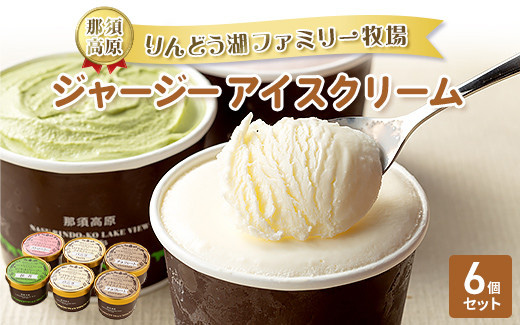 那須高原りんどう湖ファミリー牧場 ジャージーアイスクリーム 6個 詰め合わせ｜あいす アイス バニラ チョコ ストロベリー 抹茶 デザート スイーツ おすすめ ギフト 那須 栃木県 那須町〔P-224〕