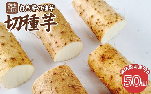 自然薯の種芋「切種芋」50個 自然薯 種芋 家庭菜園 那須町 〔E-24〕 ※2025年3月中旬頃より順次発送予定