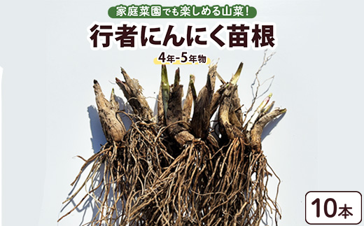 行者にんにく 苗根 10本（4年～5年物） ｜ にんにく ニンニク ガーリック 家庭菜園 栽培 野菜苗 野菜 薬味 料理 産地直送 那須 栃木県 那須町〔A-55〕