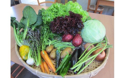 有機JAS認定農場からの那須高原のオーガニック野菜セット〔B-42〕≪旬の野菜 季節の野菜 詰め合わせ 有機肥料 サラダ≫