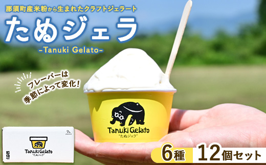 那須町産米粉から生まれたクラフトジェラート『たぬジェラ』12個セット〔C-83〕 | 栃木県 那須町 ジェラート アイス 氷菓 ※沖縄・離島への配送不可