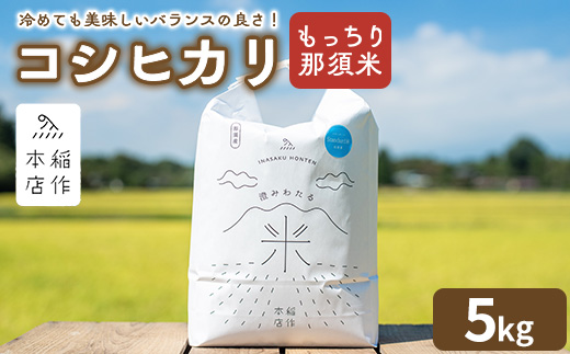 【令和7年産】もっちり那須米 コシヒカリ 5kg 〔P-283〕 | こしひかり 米 お米 コメ こめ 精米 もっちり感 甘み ツヤ 国産 那須 栃木県 那須町 ※2025年10月下旬頃より順次発送予定