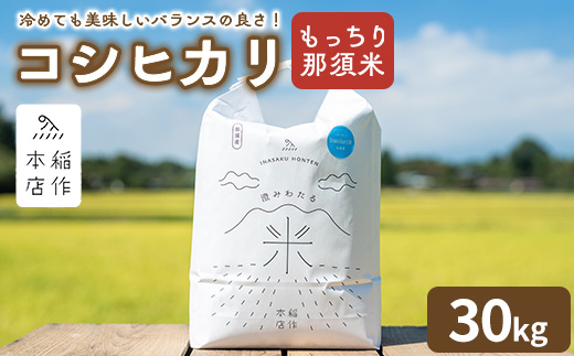 【令和7年産】もっちり那須米 コシヒカリ 30kg〔P-287〕 | こしひかり 米 お米 コメ こめ 精米 もっちり感 甘み ツヤ 国産 那須 栃木県 那須町 ※2025年10月下旬頃より順次発送予定