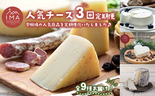 【定期便3ヵ月】今牧場の人気チーズ詰め合わせセット ｜ チーズ 食べ比べ セット おつまみ 晩酌 乳製品 那須 栃木県 那須町〔D-65〕
