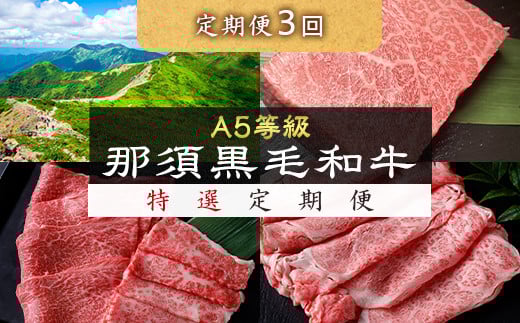 《定期便3回》A5等級 那須黒毛和牛 特選定期便 ステーキ 焼肉セット〔G-28〕| 牛肉 国産 赤身 那須和牛 黒毛和牛 那須黒毛和牛 とちぎ和牛 栃木和牛 ブランド牛 A5 すき焼き しゃぶしゃぶ 焼肉 ステーキ 夜ご飯 夜ごはん 晩ご飯 晩ごはん お取り寄せグルメ お中元 御中元 お歳暮 贈答 贈り物 ギフト プレゼント 母の日 父の日 敬老の日 記念日 誕生日 お祝い 定期便 栃木県 那須町