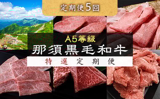 《定期便5回》A5等級 那須黒毛和牛 特選定期便 ステーキ しゃぶしゃぶ カルビ もも肩肉 牛小間 〔I-14〕| 牛肉 国産 赤身 那須和牛 黒毛和牛 那須黒毛和牛 とちぎ和牛 栃木和牛 ブランド牛 A5 すき焼き しゃぶしゃぶ 焼肉 ステーキ 夜ご飯 夜ごはん 晩ご飯 晩ごはん お取り寄せグルメ お中元 御中元 お歳暮 贈答 贈り物 ギフト プレゼント 母の日 父の日 敬老の日 記念日 誕生日 お祝い 定期便 栃木県 那須町