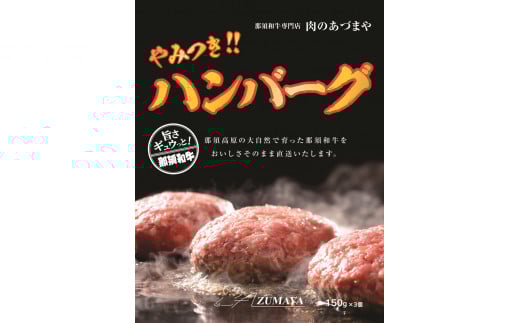 やみつきハンバーグ（3個入）◇ 合挽肉 国産 真空包装 冷凍 那須町 〔P-57〕