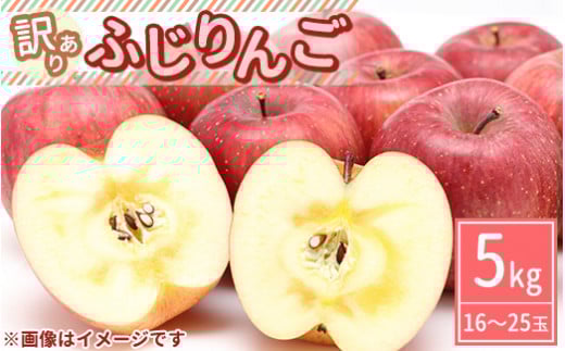 【先行受付】【訳あり】ふじりんご 約5kg（16～25玉）〔B-100〕| りんご リンゴ 林檎 フルーツ 果物 果実 わけあり 傷 数量 限定 先行予約 那須 栃木県 那須町 ※2024年10月中旬頃より順次発送予定
