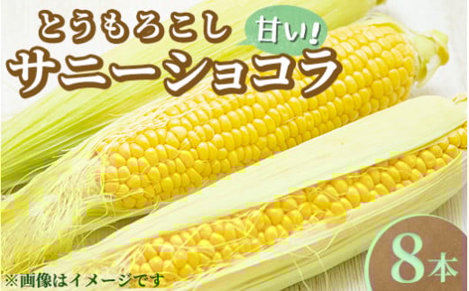 【先行受付】とうもろこし サニーショコラ 8本〔B-101〕 ｜ トウモロコシ コーン 先行予約 数量 限定 生 甘い 野菜 やさい 那須 栃木県 那須町　※2025年8月上旬頃より順次発送予定