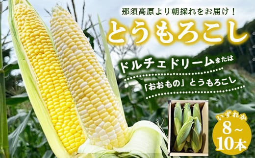 【先行受付】ドルチェドリーム とうもろこし 8～10本〔B-106〕｜ トウモロコシ コーン 先行予約 数量 限定 生 甘い 野菜 やさい 那須 栃木県 那須町 ※離島への配送不可 ※2024年7月下旬～8月下旬頃に順次発送予定