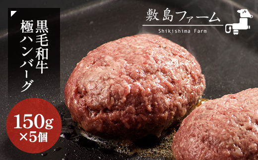 那須高原 敷島和牛手作りハンバーグ（150g×5個）計750g 小分け ハンバーグ 肉 お肉 牛肉 国産 黒毛和牛 冷凍 栃木県 那須町《敷島ファーム》〔B-82〕※着日指定不可※北海道・沖縄・離島への配送不可