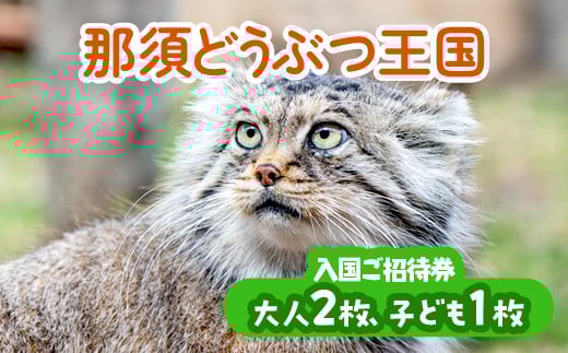 那須どうぶつ王国 ご招待券（大人2名 小人1名） ｜ 動物 動物園チケット 動物園 どうぶつえん チケット 券 入場券 入園券 観光 ファミリー 家族 お出かけ 旅行 栃木県 那須町〔P-154〕