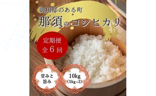 【定期便6ヶ月】那須町産コシヒカリ5kg×2袋〔P-279〕｜米 お米 国産 白米 ご飯 ごはん ゴハン 国産 那須 栃木県 那須町 水車の里 瑞穂蔵　※沖縄・離島への配送不可