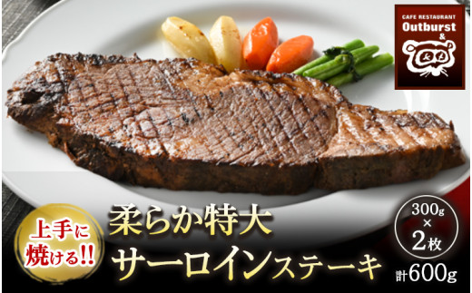 上手に焼ける！！柔らか特大サーロインステーキ 300g×2枚 計600g ｜ 国産 牛肉 肉 お肉 ステーキ 冷凍 栃木県 那須町 〔P-137〕※着日指定不可