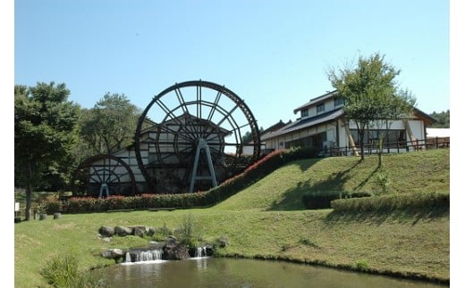 日本有数の直径12ｍの巨大水車が目印！道の駅東山道伊王野　お食事券 お食事券 チケット 食事券 道の駅 旅行ドライブ ランチ蕎麦 〔C-33〕