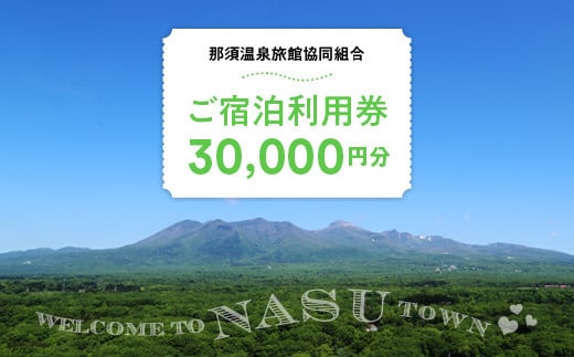 那須温泉旅館協同組合　ご宿泊利用券30,000円分（3,000円×10枚）〔G-16〕≪旅行 旅 旅館 温泉 自然≫