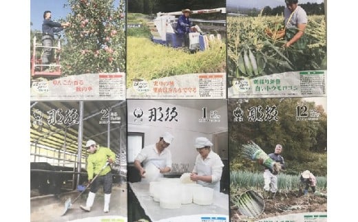 ふるさと那須町からの定期便「広報那須」1年分 ふるさと 定期便 広報 〔A-5〕