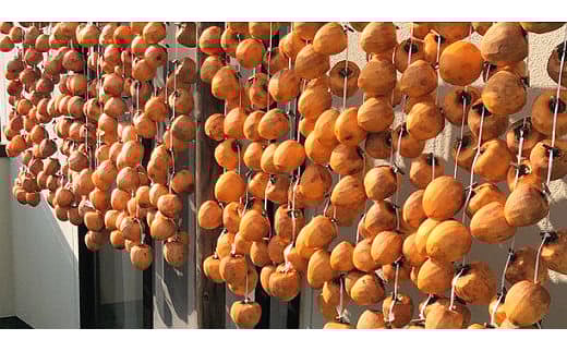 しずちゃん農園の干し柿〔P-126〕≪干柿 ほしがき 果物 フルーツ≫