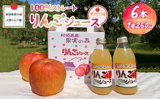 那須果実の森りんごジュース250ml×6本〔P-229〕｜リンゴジュース 林檎ジュース 100％ 果物 フルーツ