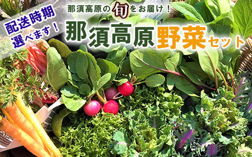 那須ブランド 那須高原野菜セット 野菜 お野菜 新鮮 詰め合わせ やさい みずみずしい 美味しい 自然 栃木県 那須町〔B-80〕※北海道・沖縄・離島への配送不可※2024年5月より順次発送予定