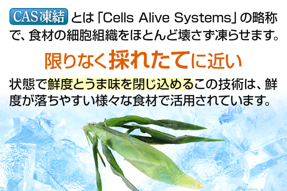 CAS印 利根沼田産 皮付き とうもろこし 10本 株式会社沼田魚菜市場仲卸