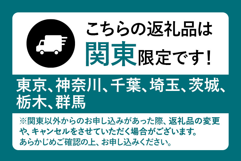 《12月上旬～3月下旬発送》関東限定配送 イチゴ よつぼし 約260gパック×2