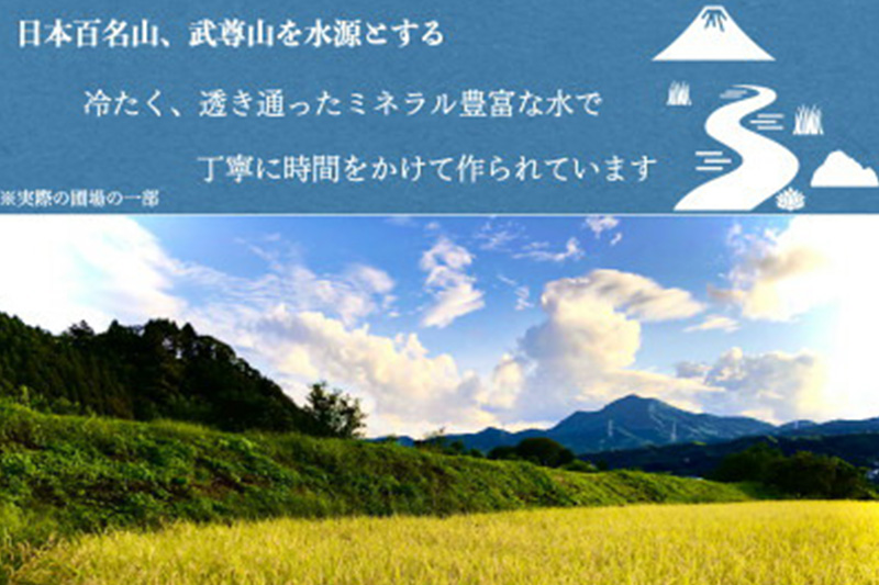 令和7年産 沼田のこしひかり「みずのながれ」お試し六合 900g 群馬県沼田市産 精米 白米 コシヒカリ