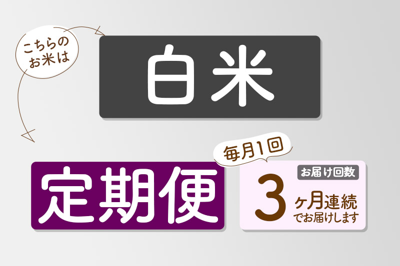 【白米】《定期便3回》令和7年産 真田のコシヒカリ小松姫 プレミアム 5kg×1袋 金井農園
