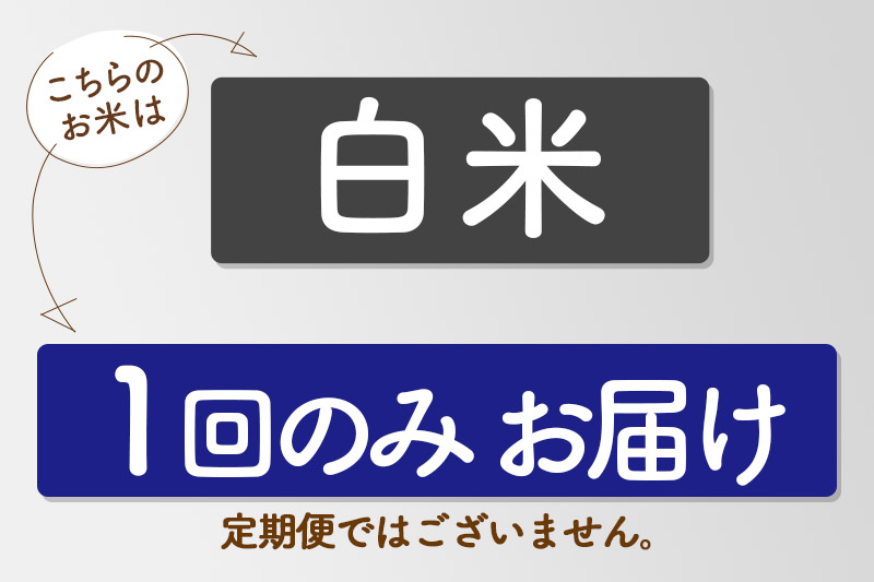 【白米】令和7年産 真田のコシヒカリ小松姫 5kg×1袋 金井農園