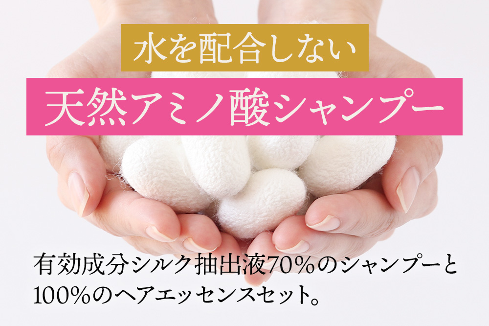 HONEST（ホーネスト）シルキーVシャンプー200ml・シルキーVヘアエッセンス300ml 2点セット